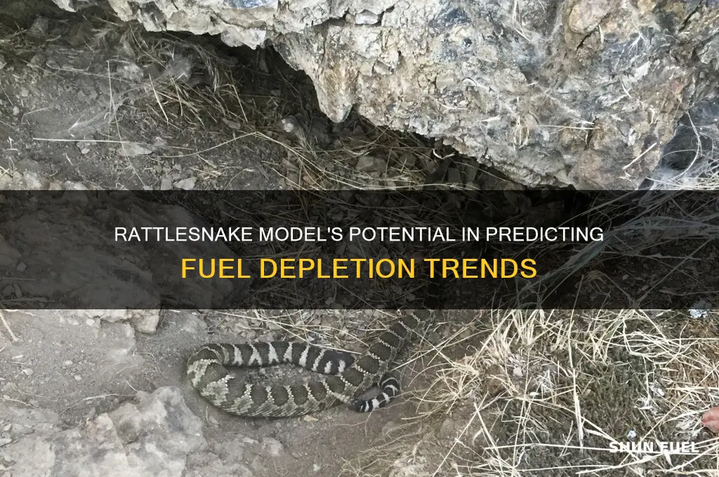 can rattlesnake model fuel depletion