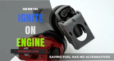 Can Raw Fuel Ignite in an Engine? Exploring the Risks and Science