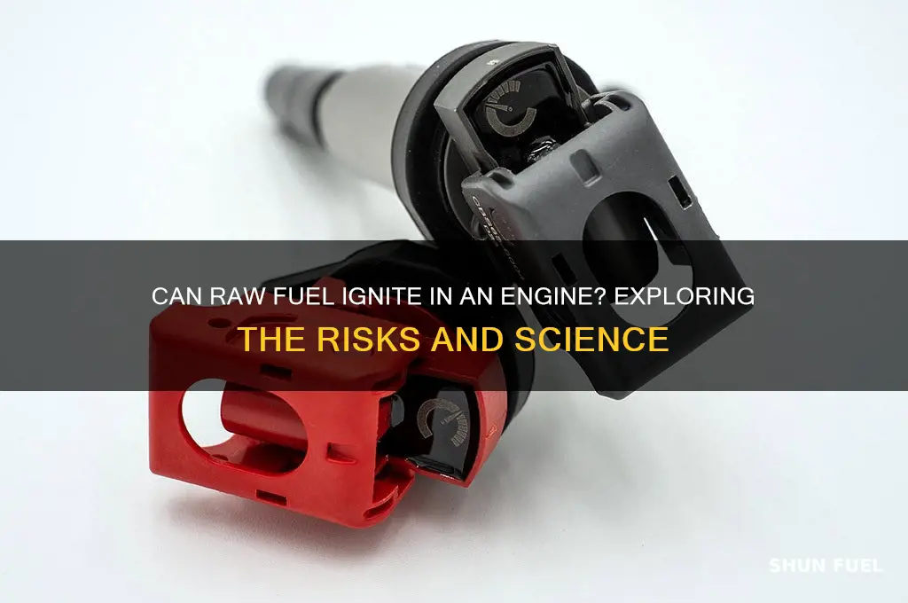can raw fuel ignite on engine