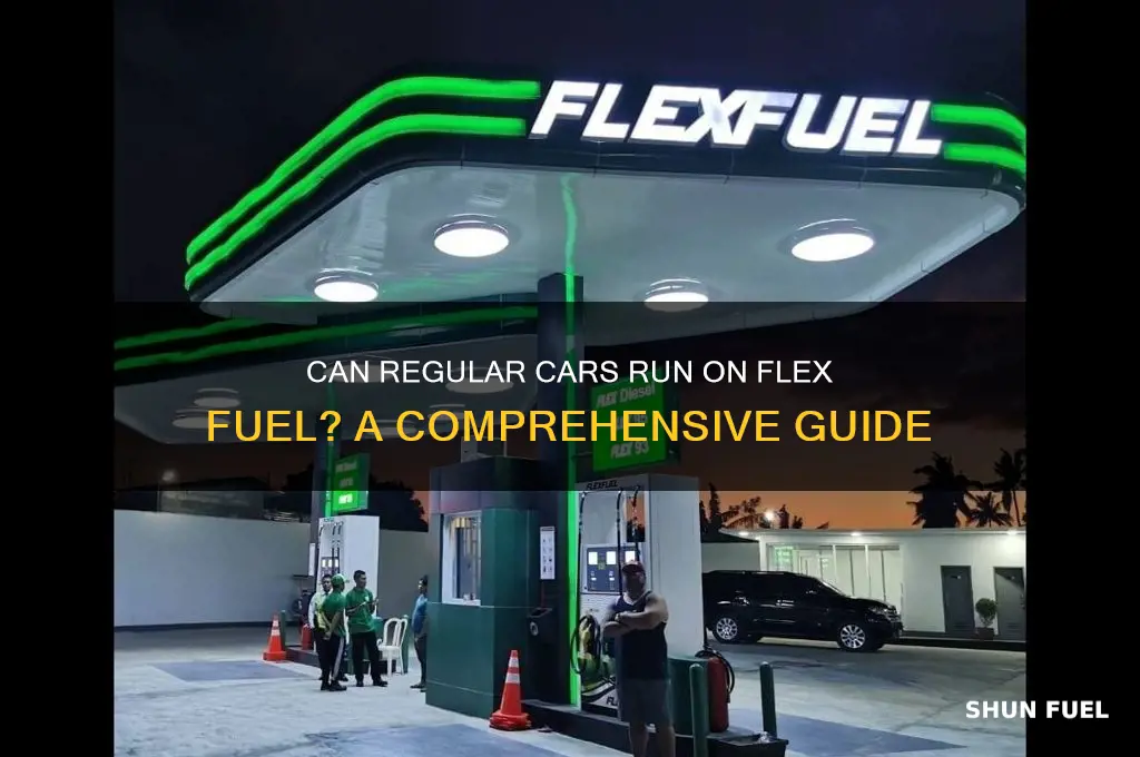can regular cars use flex fuel