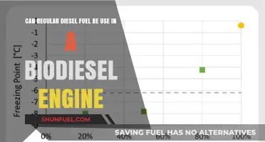 Biodiesel Engines: Can They Run on Regular Diesel?