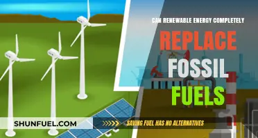 Renewable Energy's Potential: Can It Fully Replace Fossil Fuels?