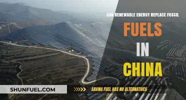 China's Renewable Revolution: Powering a Sustainable Future