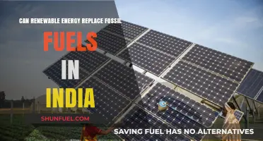 India's Energy Transition: Can Renewables Fully Replace Fossil Fuels?