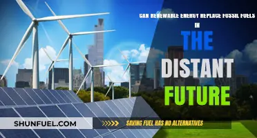 Renewable Energy: Can It Ever Replace Fossil Fuels?