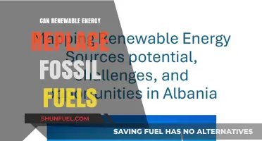 Renewable Energy's Potential: Can It Fully Replace Fossil Fuels?