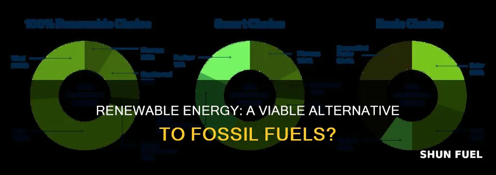 can renewable energy sources replace fossil fuels griffin