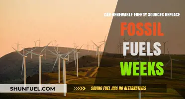 Renewable Revolution: Powering a Sustainable Future with Clean Energy