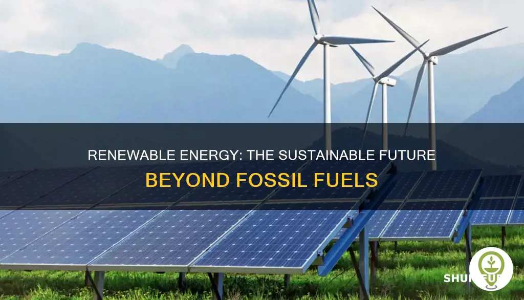 can renewable energy sources replace fossil fuels weeks