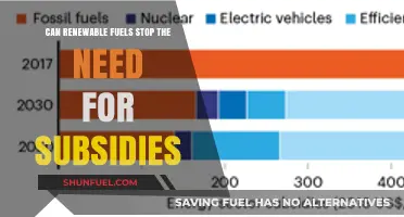 Renewable Fuels: Ending Subsidy Dependence for a Sustainable Energy Future?