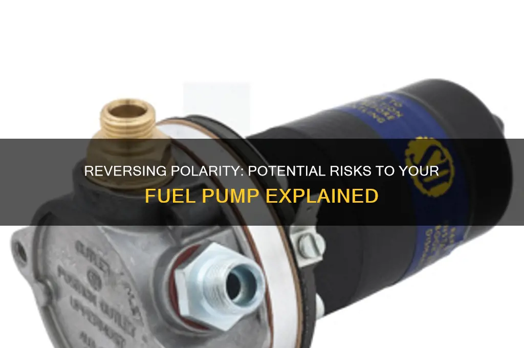 can reversing polarity ruin a fuel pump