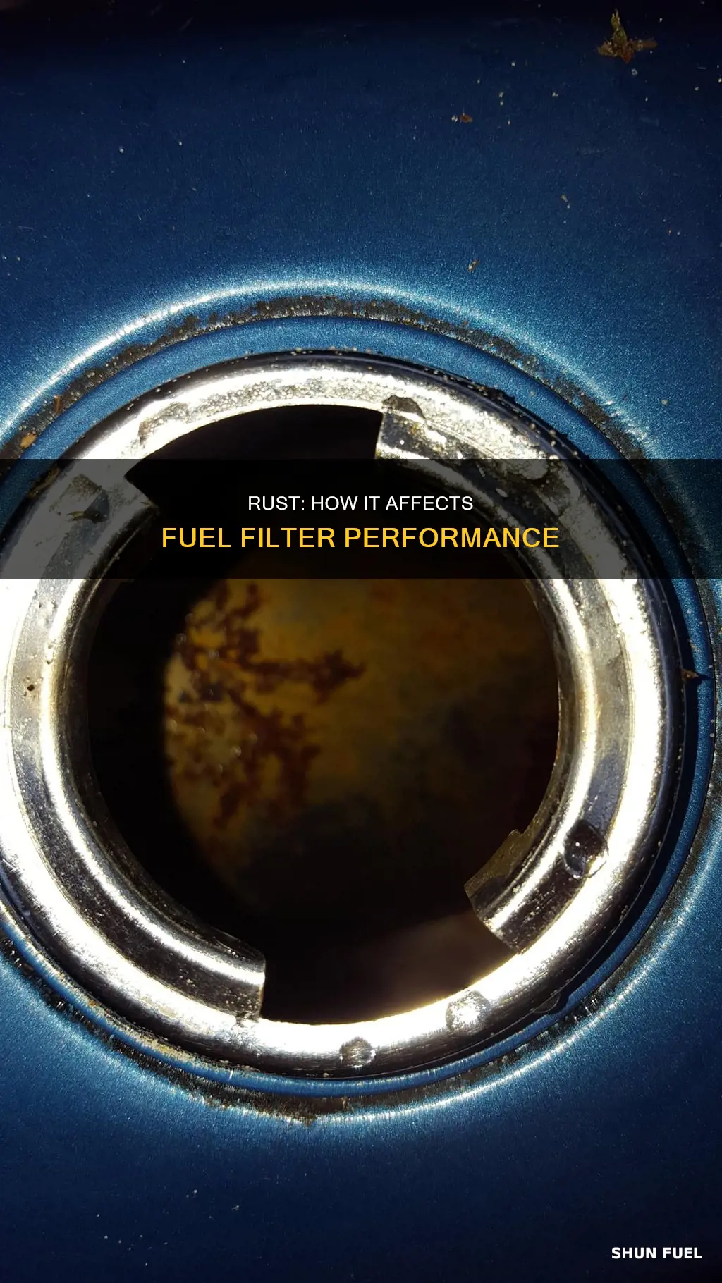 can rust get past the fuel filter