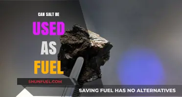 Exploring Salt as an Alternative Fuel Source: Possibilities and Challenges