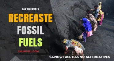 Scientists Reviving Fossil Fuels: Is It Possible?