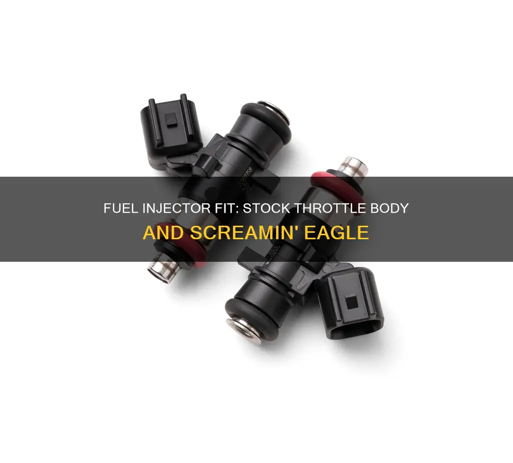 can screamin eagle fuel injectors fit in stock throttle body