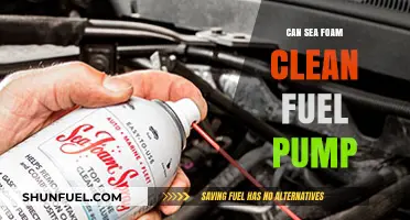 Sea Foam's Power: Can It Effectively Clean Your Fuel Pump?