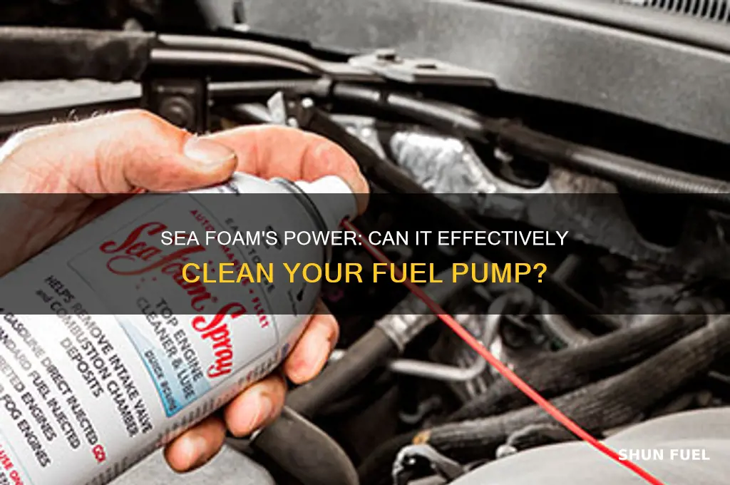 can sea foam clean fuel pump
