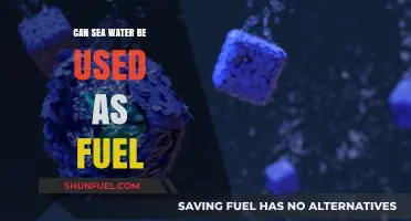 Exploring Seawater as a Potential Renewable Fuel Source