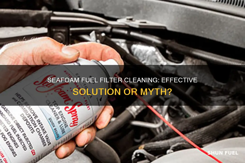 can seafoam clean fuel filter