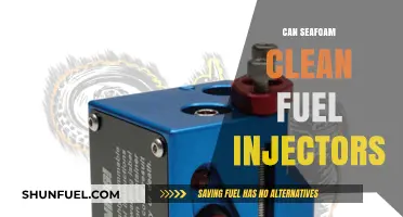 Seafoam Fuel Injector Cleaner: Effective Solution or Myth?