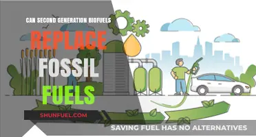 Biofuels 2.0: The Future of Sustainable Energy?