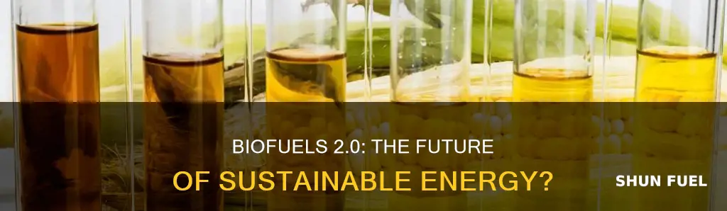 can second generation biofuels replace fossil fuels