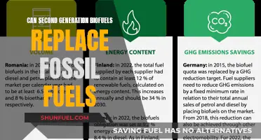 The Promise of Second-Gen Biofuels: A Fossil Fuel Alternative?