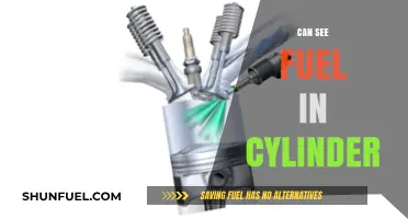 Can You See Fuel in the Cylinder? Causes and Solutions