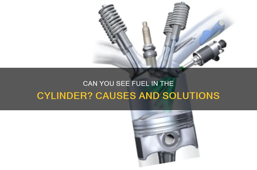 can see fuel in cylinder
