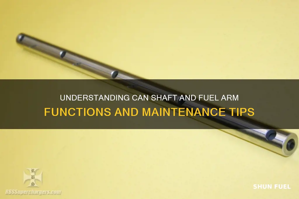 can shaft and fuel arm