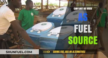 Exploring the Potential of Human Waste as Renewable Energy Source
