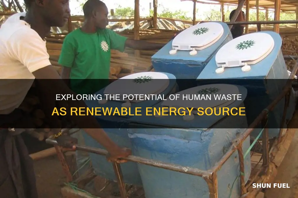 can shit be used as fuel source