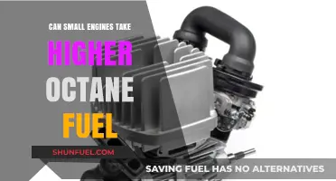 Higher Octane Fuel: Benefits or Risks for Small Engines?