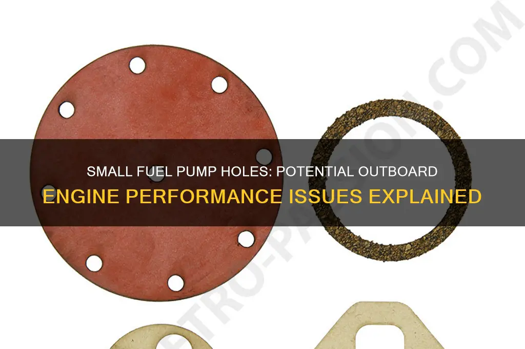 can small holes in fuel pump cause problems in outboard