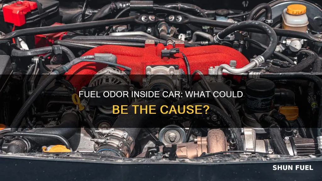 can smell fuel inside my car