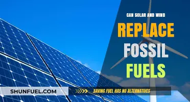 Renewable Energy Sources: Can They Replace Fossil Fuels?