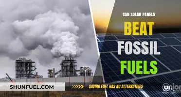 Solar Power vs. Fossil Fuels: Can Renewable Energy Win?
