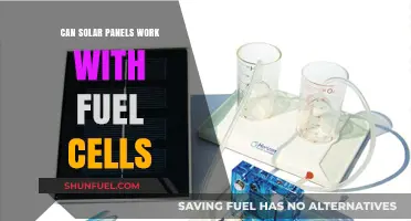 Solar Panels and Fuel Cells: A Hybrid Energy Solution?