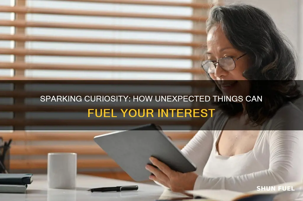can something fuel your interest