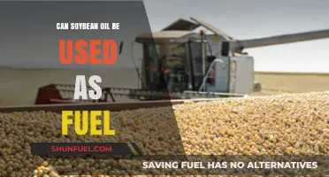 Soybean Oil as Fuel: A Viable Alternative Energy Source?