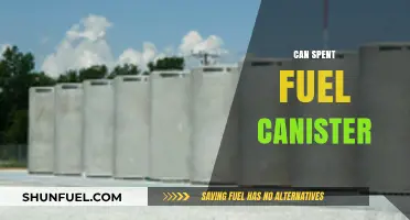 Exploring the Safety and Recycling Potential of Spent Fuel Canisters