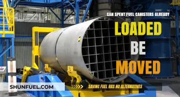 Moving Loaded Spent Fuel Canisters: Feasibility, Risks, and Safety Measures