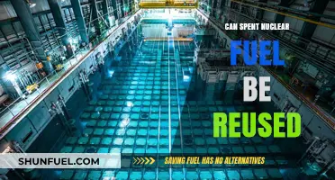 Reusing Spent Nuclear Fuel: Potential, Challenges, and Future Possibilities