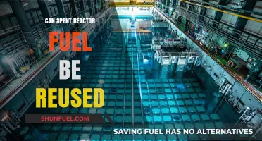 Reusing Spent Reactor Fuel: Opportunities, Challenges, and Future Prospects
