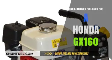 Is Stabilized Fuel the Right Choice for Your Honda GX160 Engine?