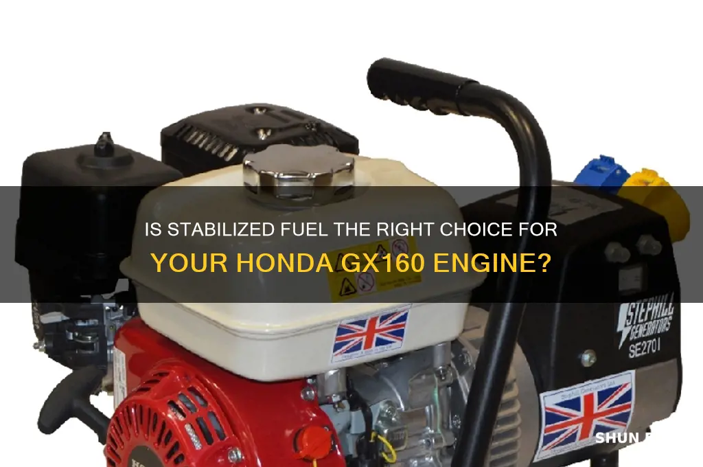 can stabilized fuel good for a honda gx160