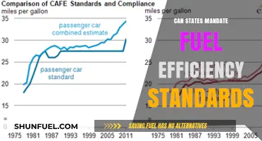 Can States Enforce Fuel Efficiency Standards? Legal and Environmental Insights