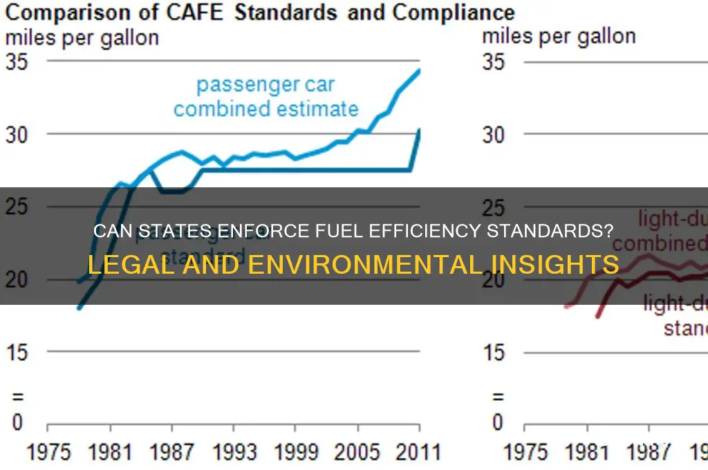 can states mandate fuel efficiency standards