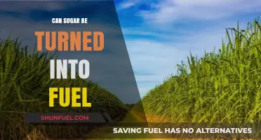Turning Sugar into Fuel: A Sweet Solution for Sustainable Energy?