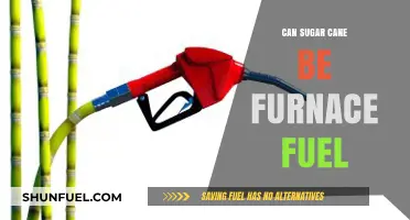 Sugar Cane as Furnace Fuel: A Viable Alternative Energy Source?